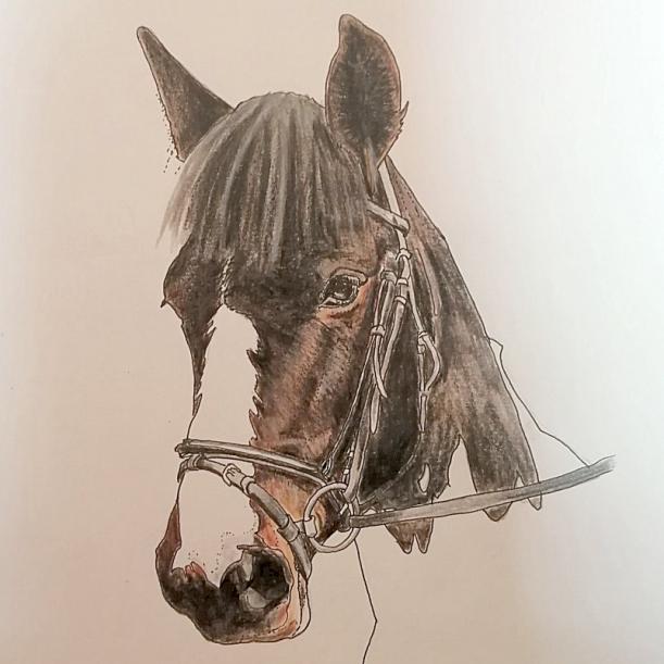 Kraziehorse Art