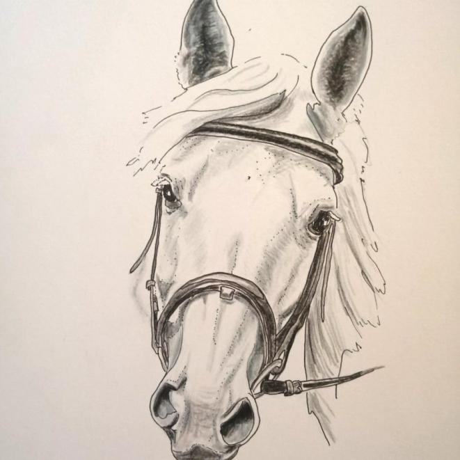 Kraziehorse Art