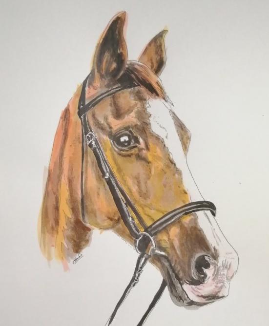 Kraziehorse Art