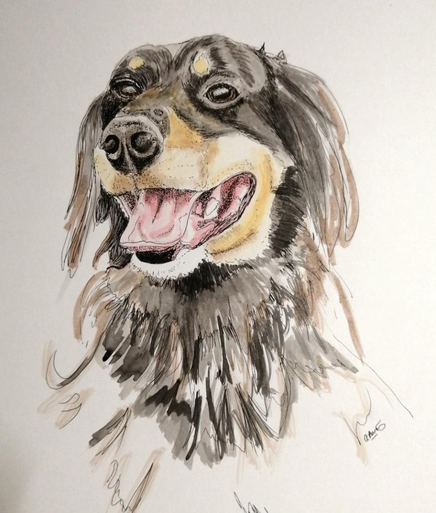 Kraziehorse Art